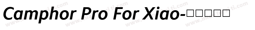 Camphor Pro For Xiao字体转换
